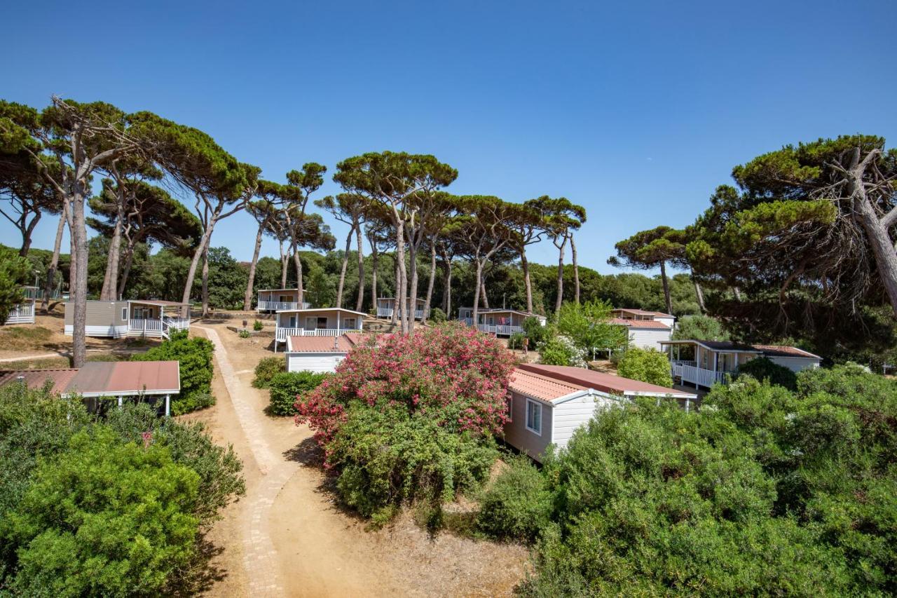 Parco Della Gallinara ลิโด เด ปินี ภายนอก รูปภาพ