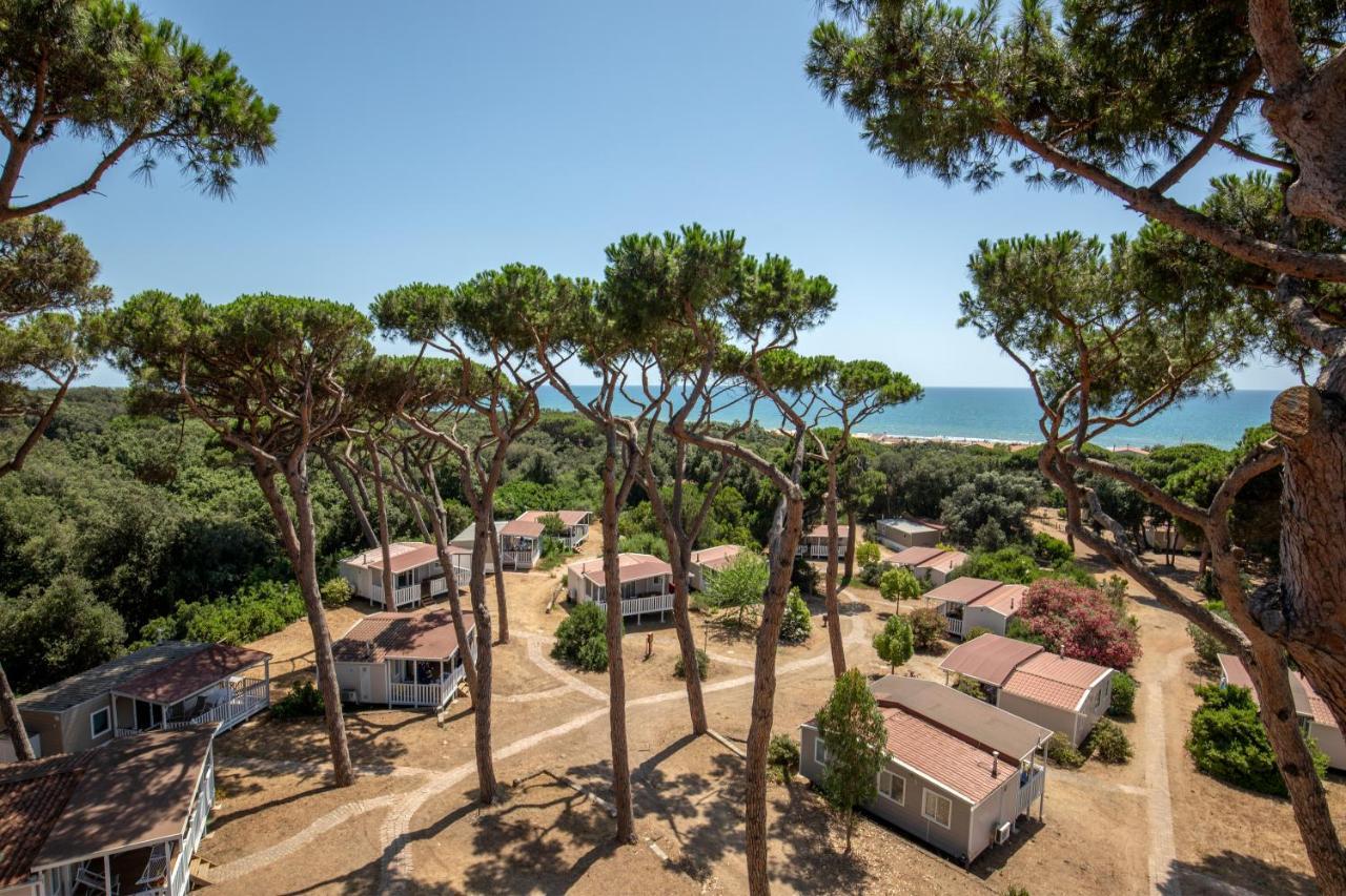 Parco Della Gallinara ลิโด เด ปินี ภายนอก รูปภาพ